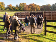 WG181024-21 - Warren Greatrex Stable Visit